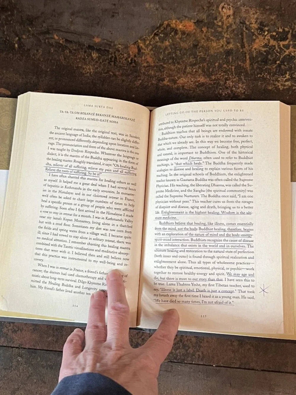 Letting Go of the Person You Used to Be by Lama Surya Das, Hardcover
